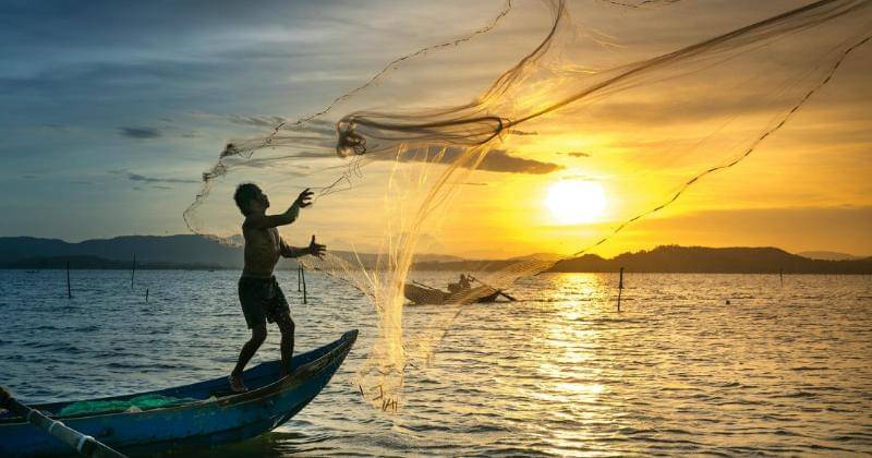 Pexels/Quang Nguyen Vinh